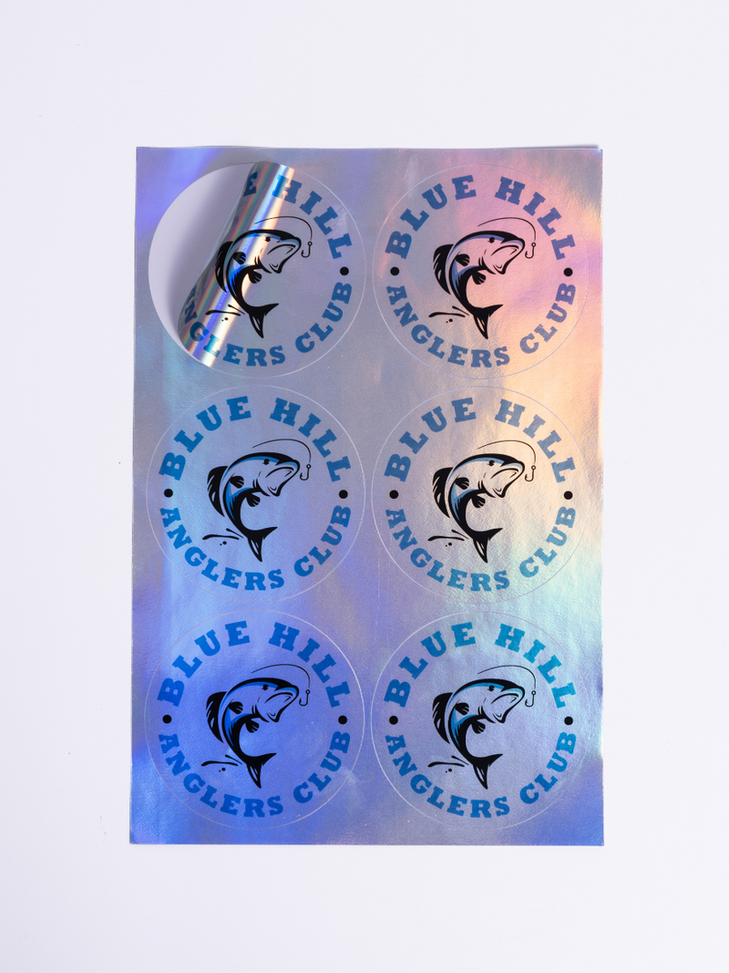 Circle Sheet Labels - Holographic